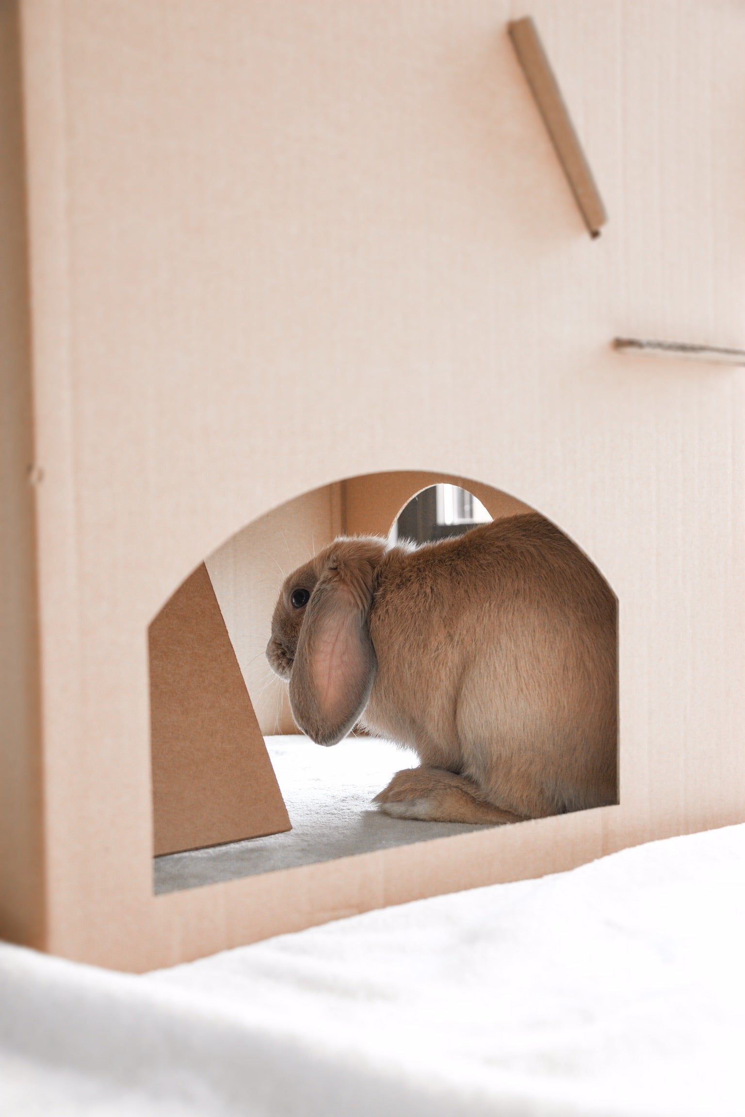 Bunny Cardboard Castle Hutch for Sale | Rabbit House for Sale – The ...