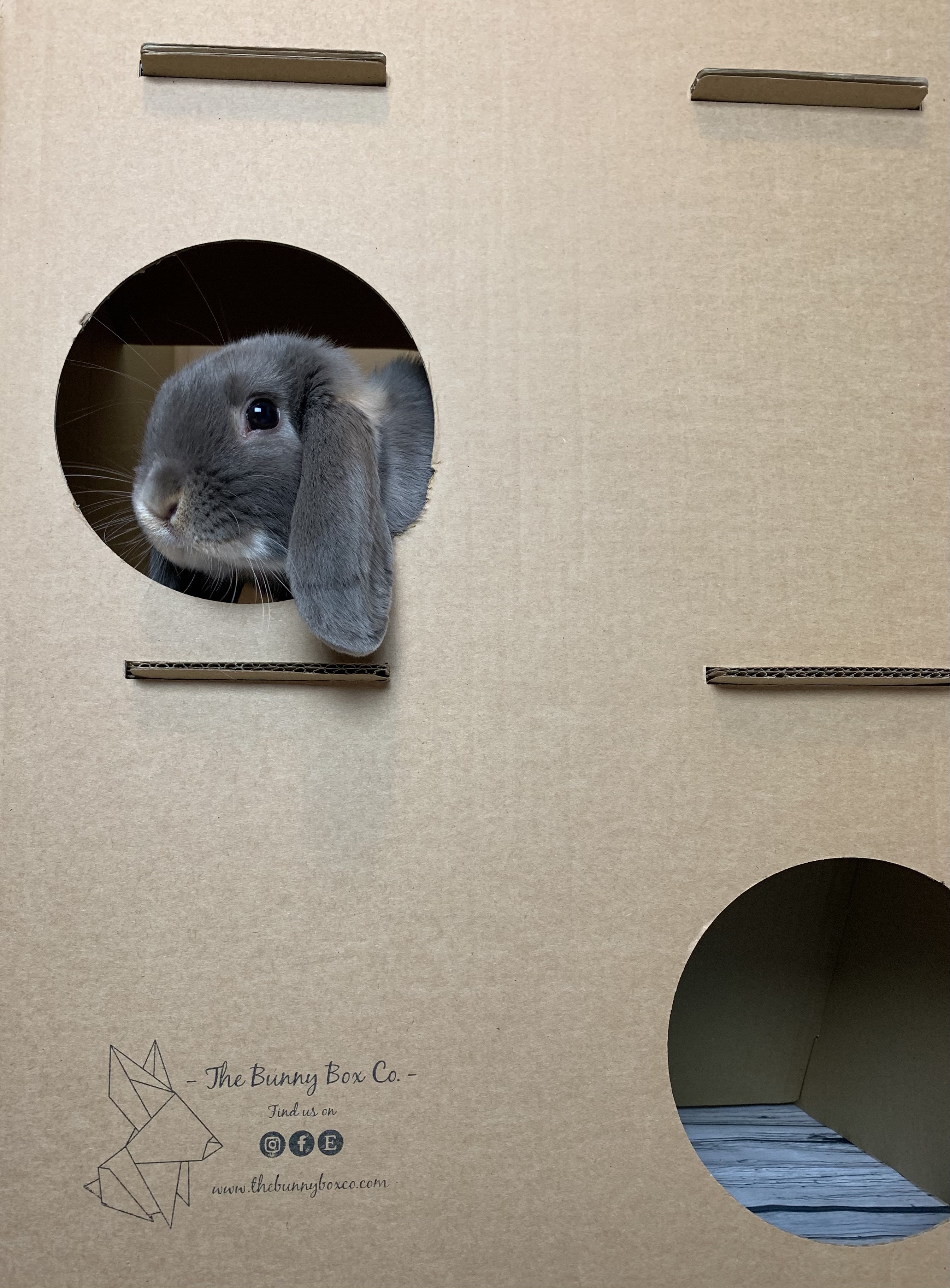 The Bunny Box Co: Rabbit Cardboard Castle, Toys, Hutches